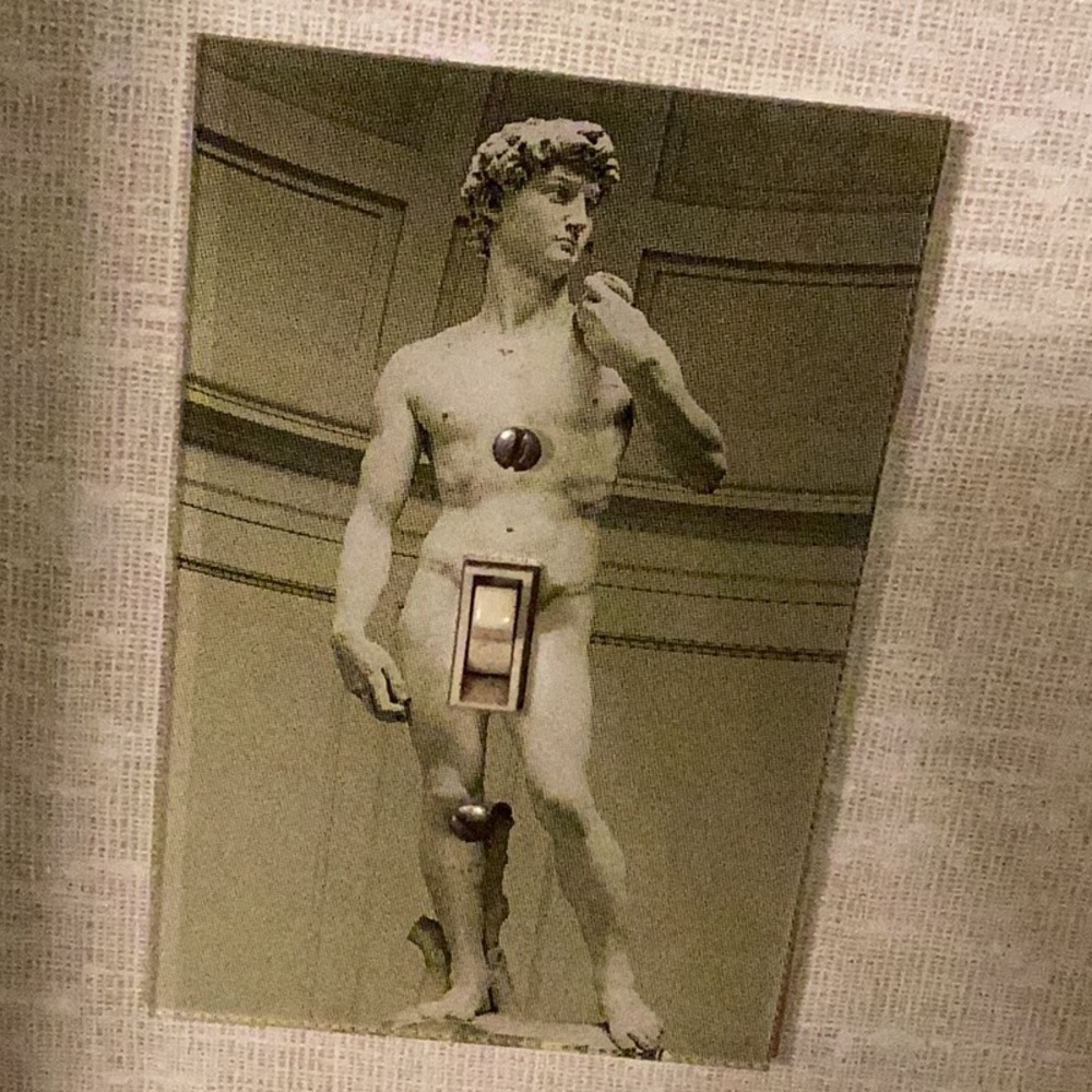 Naughty Michelangelos David light switch cover